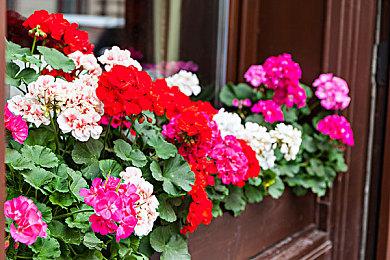 经典出新？环球娱乐在日本注册《影之心》商标